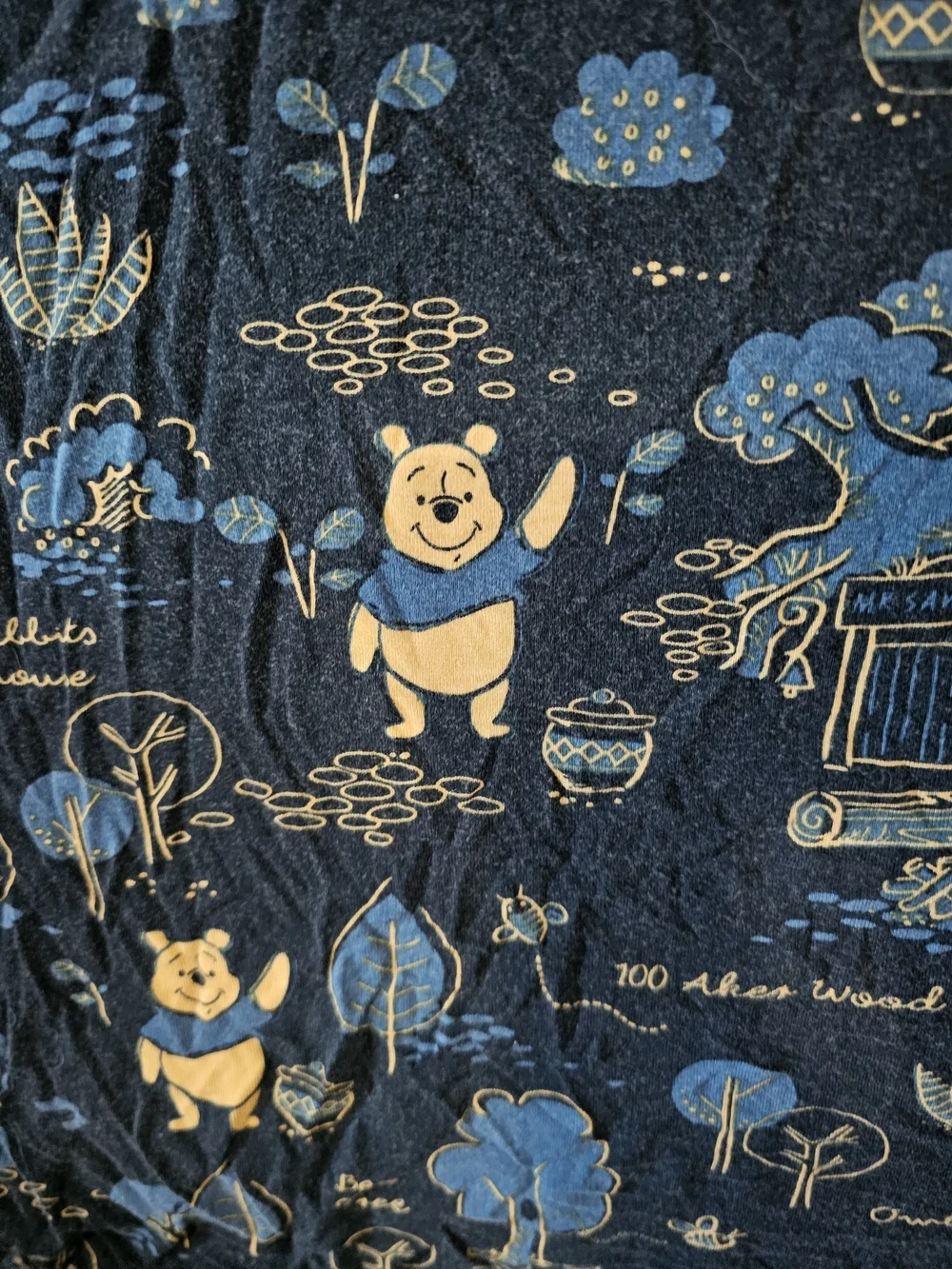Blue Winnie the Pooh Milk Snob Cover
